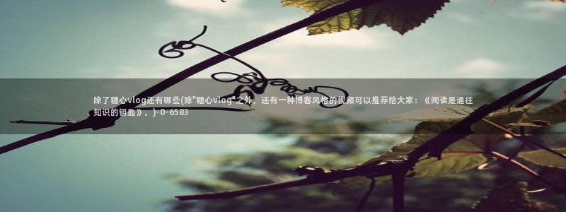 糖心vlgo国产大象传媒：除了糖心vlog还有哪些(除\