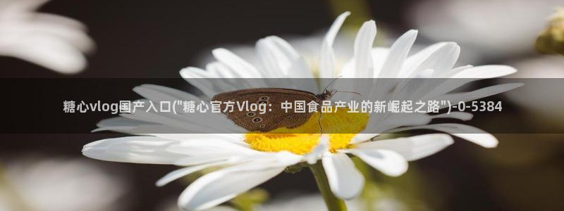 糖心都有谁：糖心vlog国产入口(\